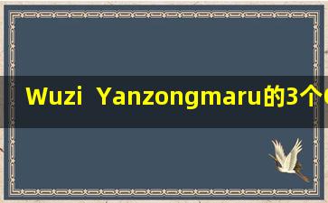 Wuzi  Yanzongmaru的3个Golden  Partners！帮助您滋养肾脏精华，调节阴和阳，滋养肝血，消除痰液和潮湿